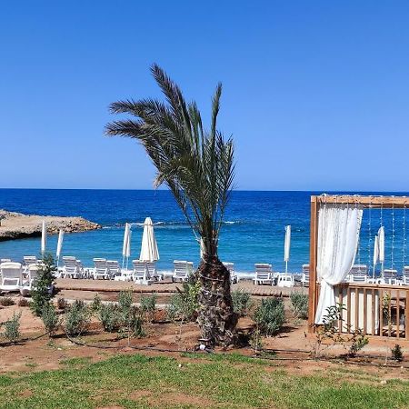 The Seaterra Reserve Penthouse With Mountains&Seaviews And Rooftop Terrace Akanthou المظهر الخارجي الصورة